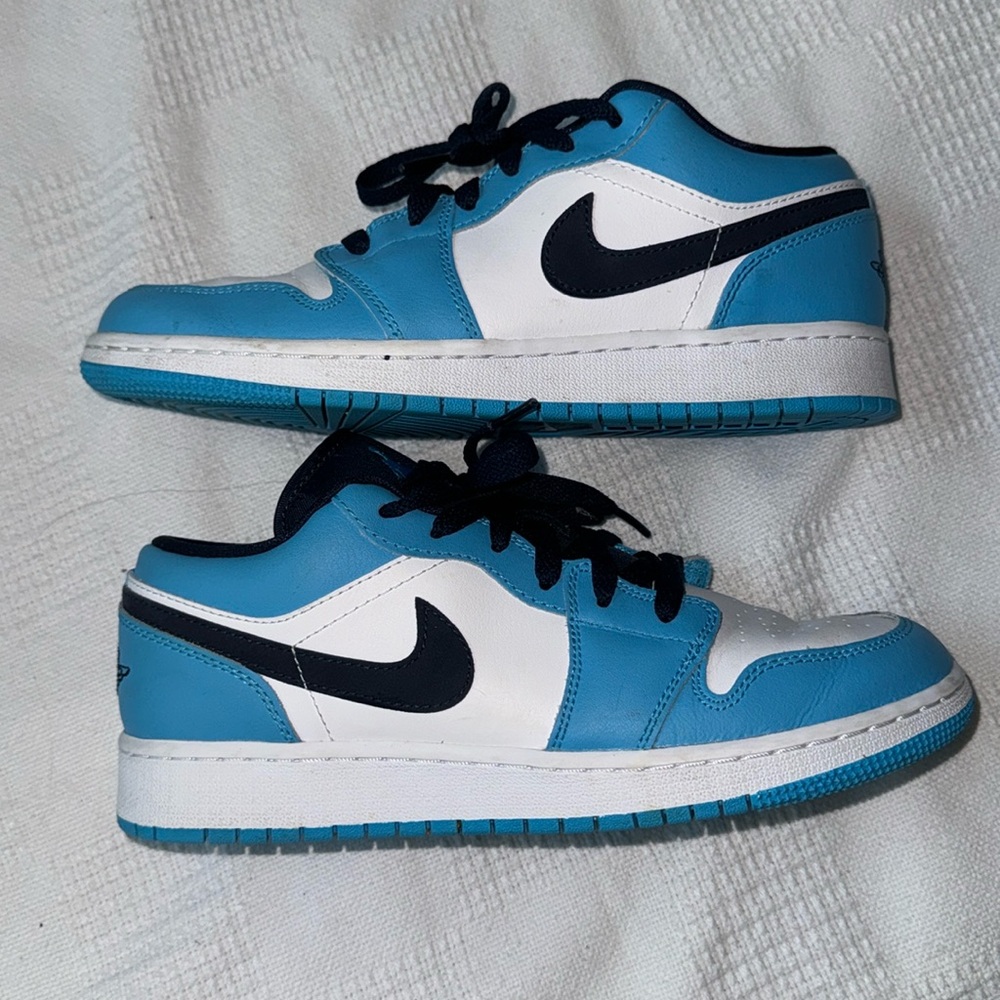Woman’s Nike dunks size 6